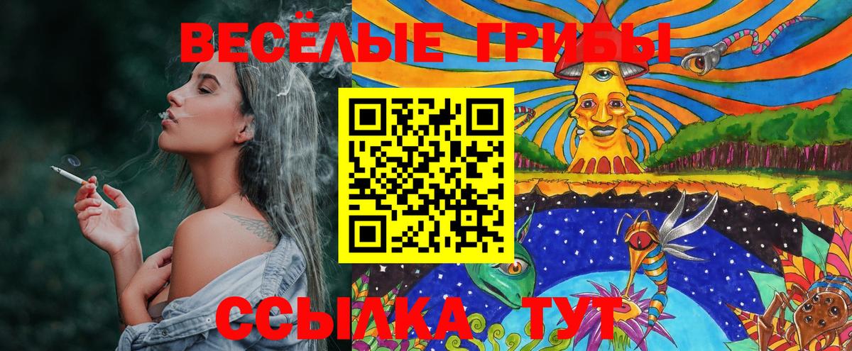 Галлюциногенные грибы Cubensis Ставрополь