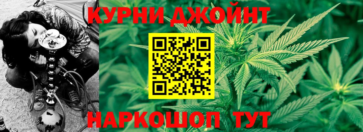 Канабис конопля Ставрополь
